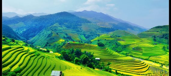 Vietnam